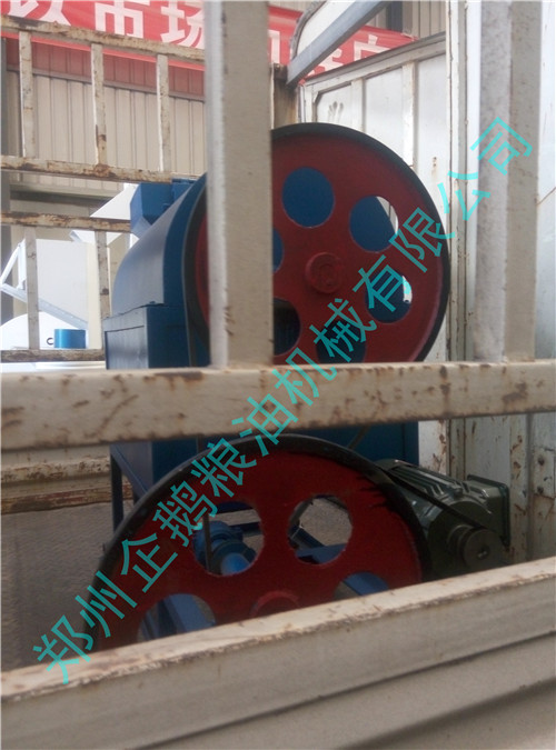 企鵝榨油機廠家1月6日發(fā)貨現(xiàn)場(圖3)