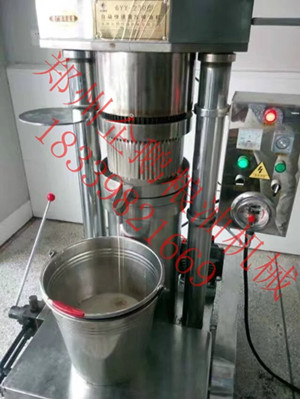 想創業來企鵝,企鵝專業的榨油機廠家(圖1) 想創業來企鵝,企鵝專業的榨油機廠家(圖1)