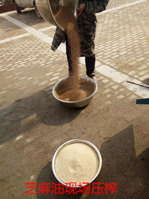 菜籽種植區(qū)不同,用的榨油機(jī)一樣嗎(圖1) 菜籽種植區(qū)不同,用的榨油機(jī)一樣嗎(圖1)