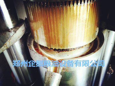 你的螺旋榨油機(jī)是不是狀況百出呢(圖2) 你的螺旋榨油機(jī)是不是狀況百出呢(圖2)