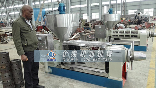 棕櫚果榨油機 棕櫚果榨油機